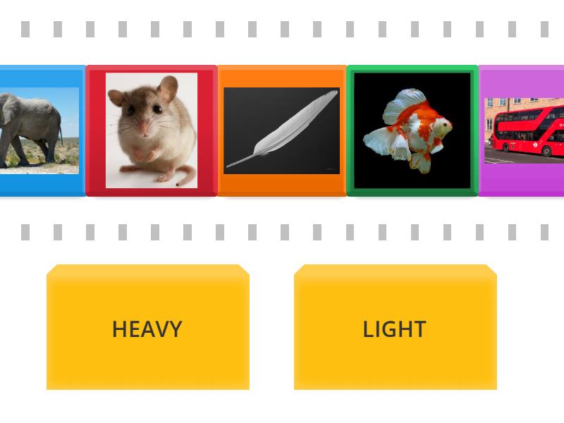 HEAVY or LIGHT - Speed sorting