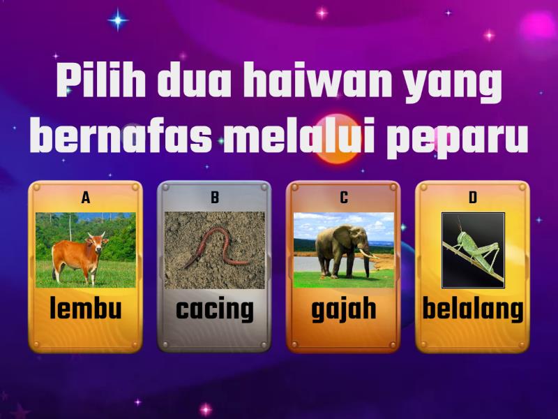 Sains Tahun 4 -HAIWAN (4A) - Quiz