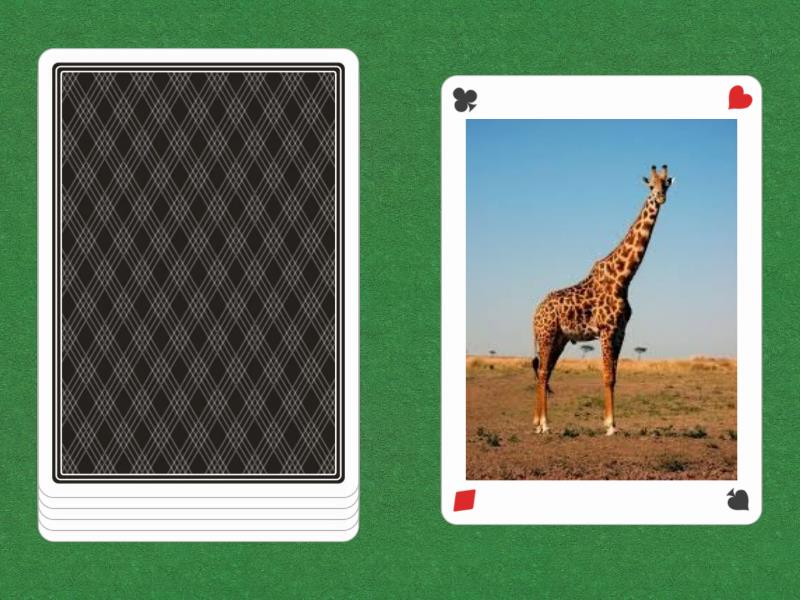 Wild animals - Speaking cards