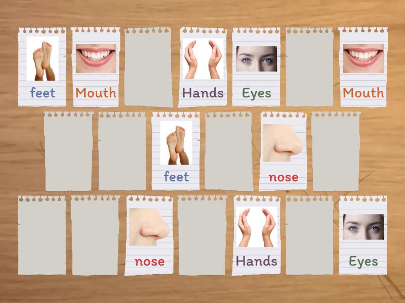 Body parts memory game matching pairs
