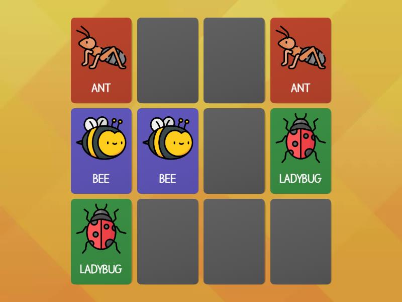 INSECTS - Matching pairs