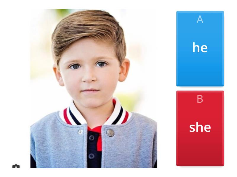 Personal pronouns he she it - Quiz