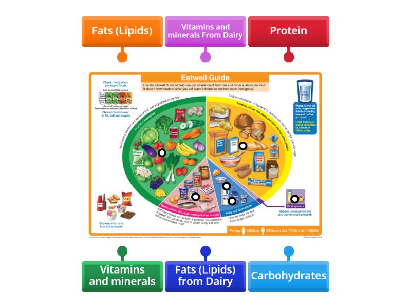 Labelling the nutrients - Labelled diagram