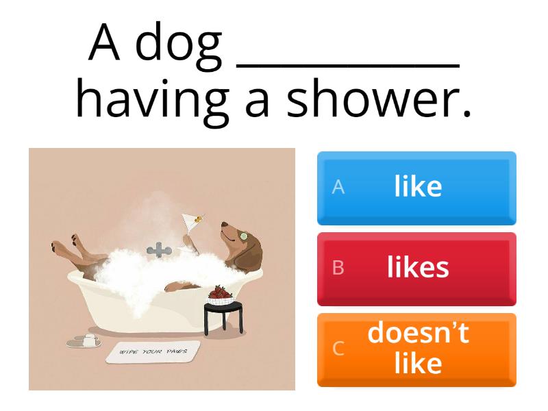Dog’s routine - Quiz