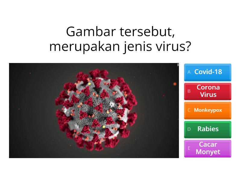 Bioteknologi Part Quiz