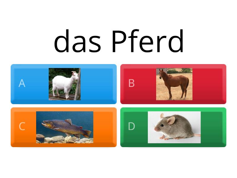 TIERE AUF DEM BAUERNHOF - Quiz