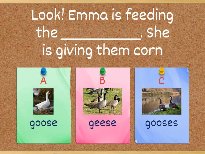 Irregular plurals Quiz