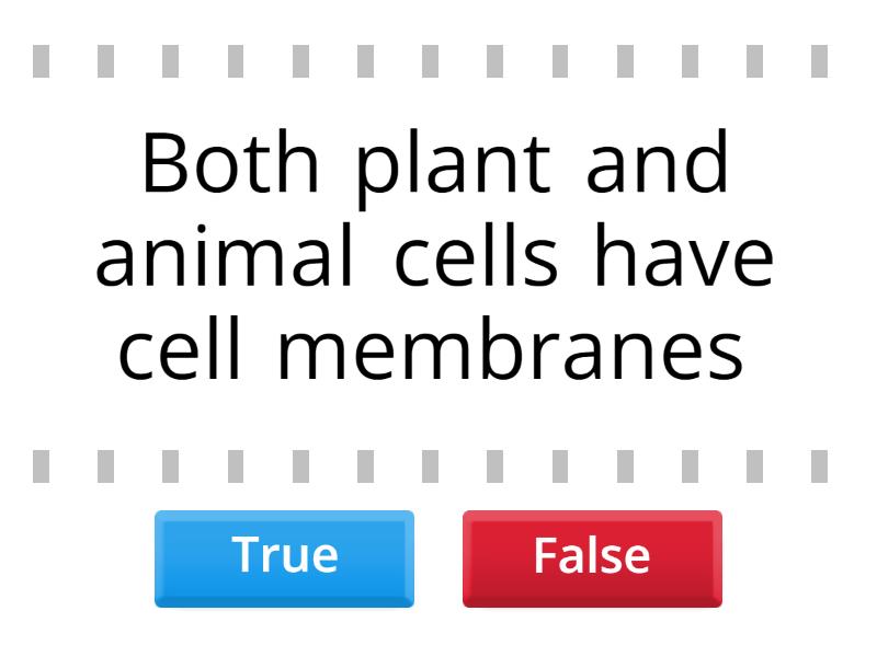 plant-and-animal-cell-organelles-true-or-false