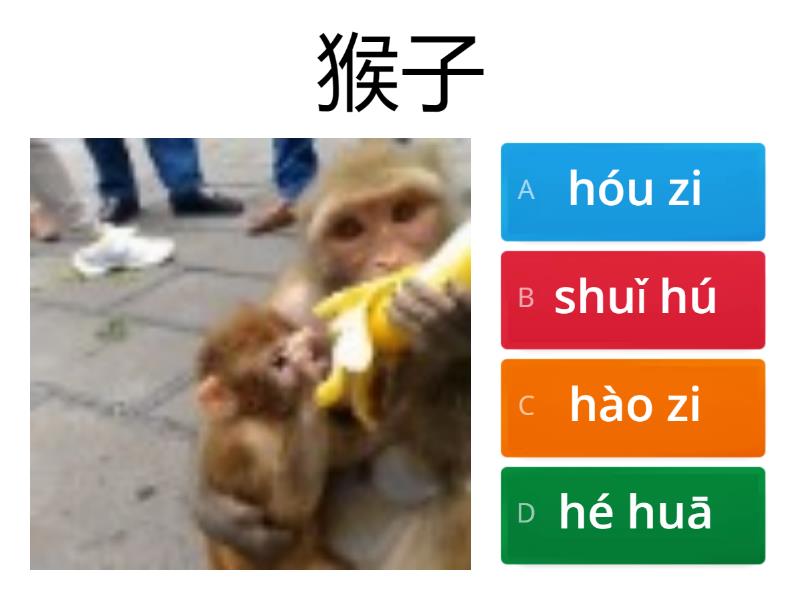 Classroom Pinyin Quiz Minerva Insights