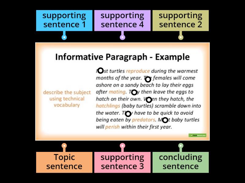 Parts of a Paragraph 1 - Diagrama con etiquetas