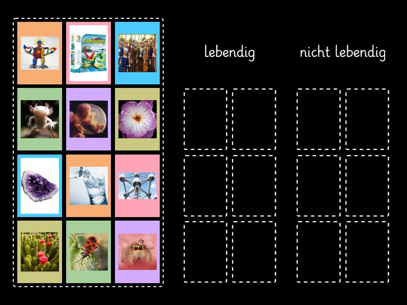 lebendig oder nicht lebendig ? - Group sort