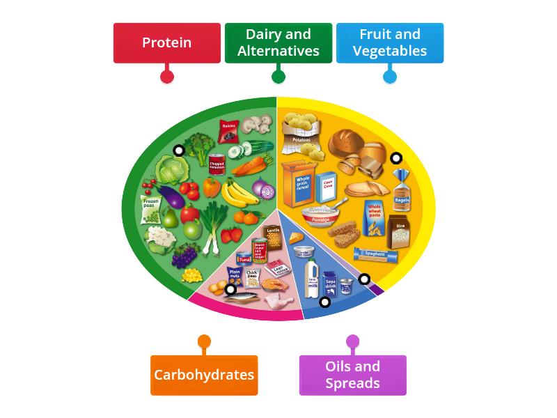 Eatwell Guide - Labelled diagram