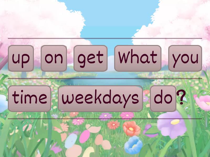 present-simple-questions-unjumble