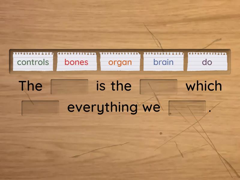 Nervous System: the brain - Complete the sentence