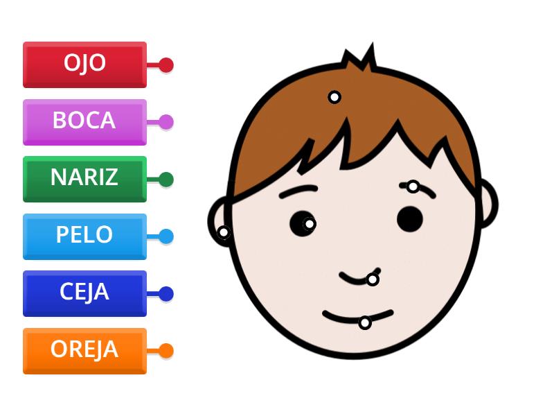 Partes del rostro preescolar - Diagrama con etiquetas