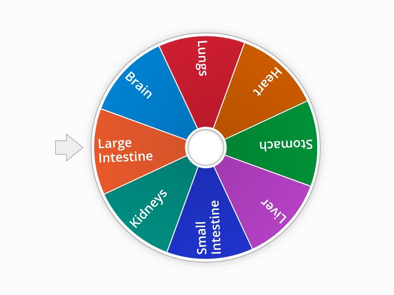 Label the Organs - Spin the wheel