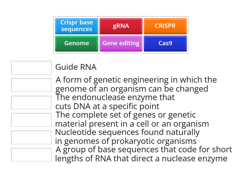 AL Gene editing - Match up