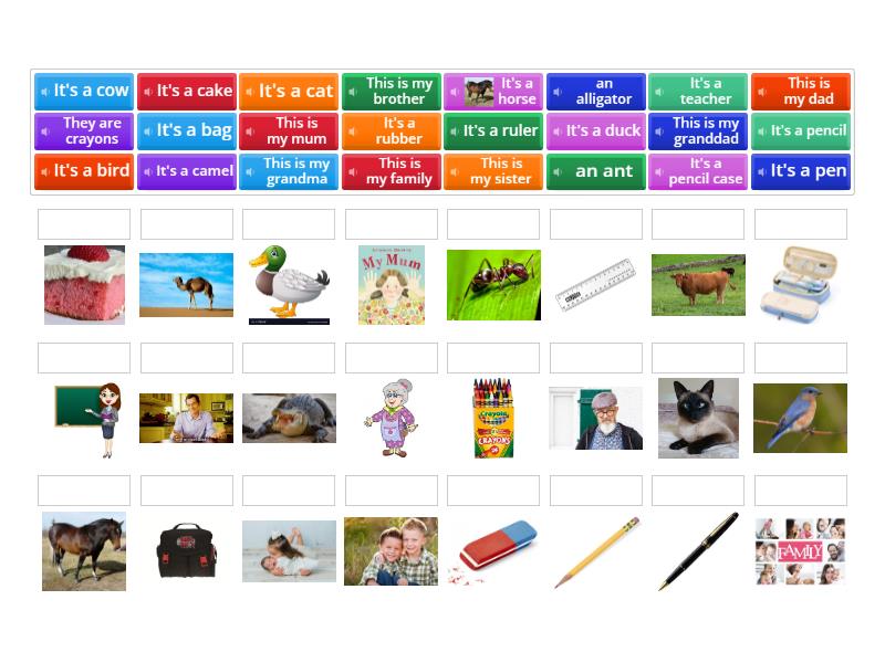 learning stars 1 - Match up