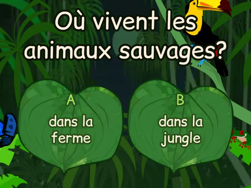 Les animaux - Quiz