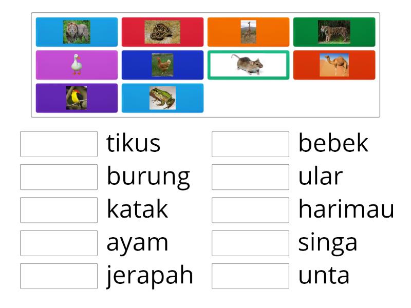 TEBAK GAMBAR HEWAN - Match up