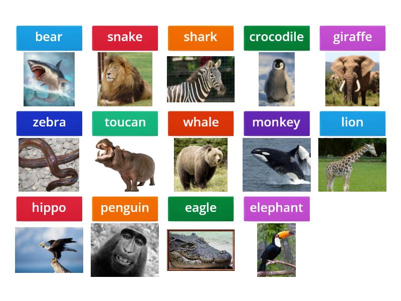 Wild animals - 2nd Grade - Unscramble