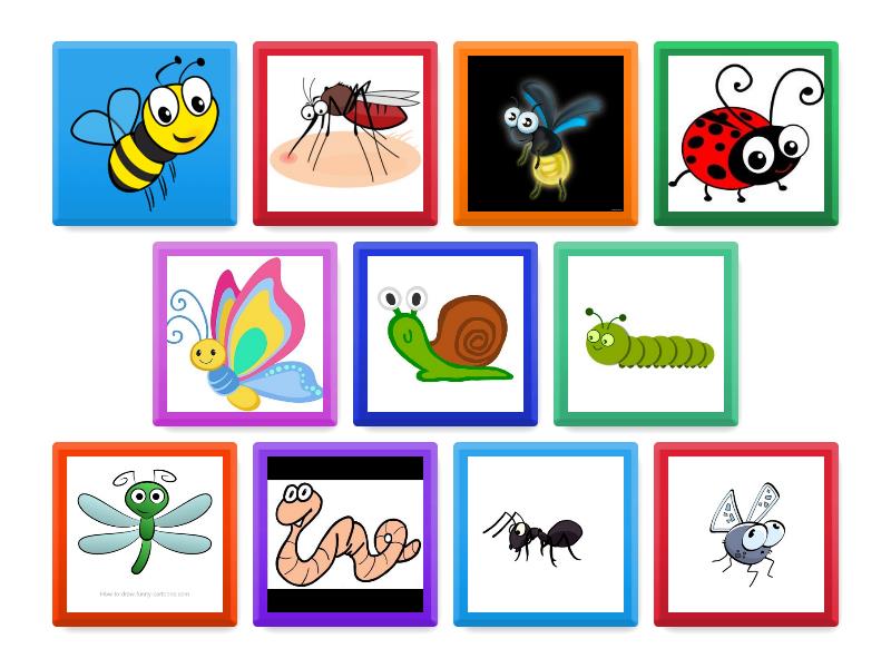 Junior Alpha: Types of bugs flashcards - Flip tiles