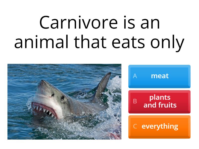 Spotlight 4 Carnivore, Herbivore, Omnivore - Quiz