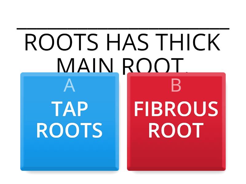 QUIZ ROOT SYSTEM - Cuestionario