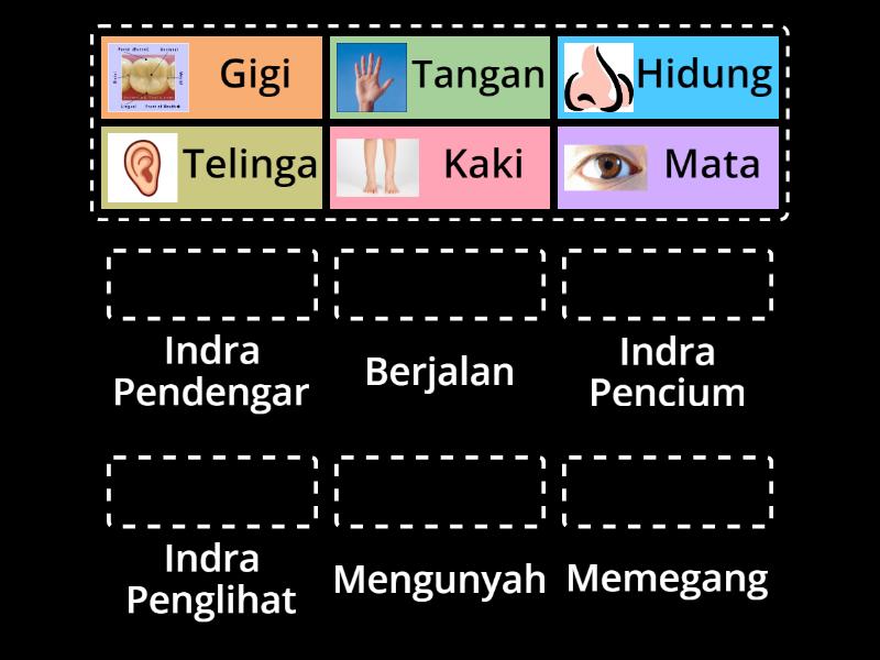 PJOK KELAS 1 & 2 MENGENAL ANGGOTA TUBUH - Match up