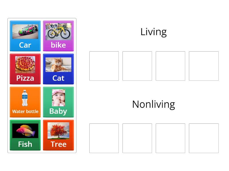 Living or Nonliving - Group sort