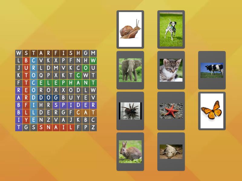 vertebrate and invertebrate animals - Wordsearch