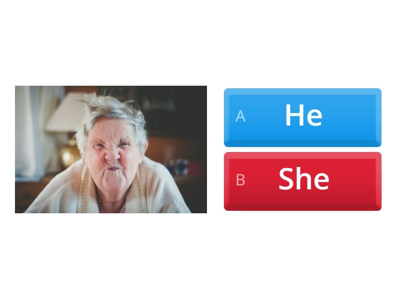 He/She - Quiz