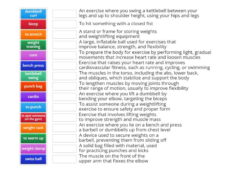 Gym exercises and terms - Match up