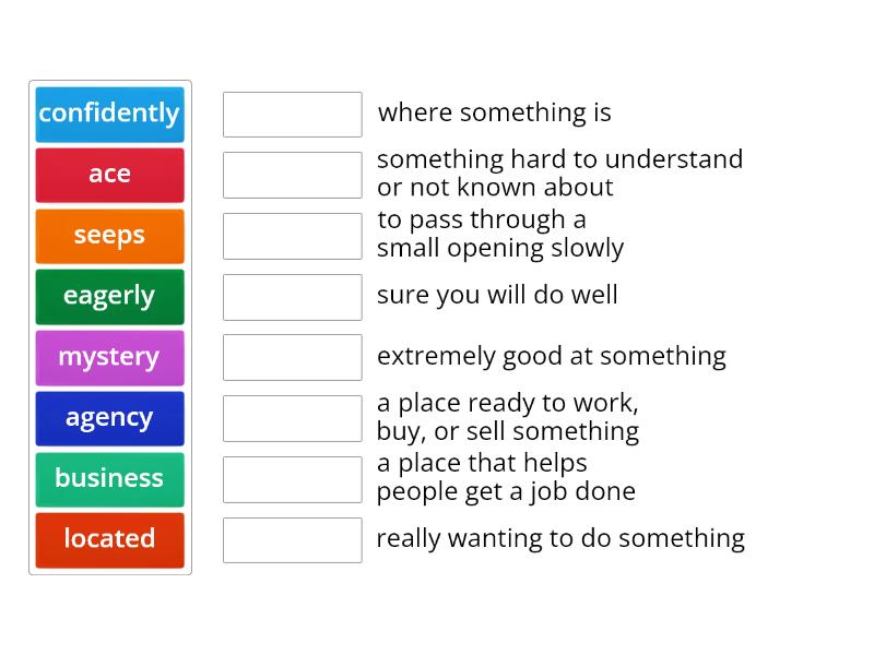 The Puddle Puzzle Vocabulary - Match up