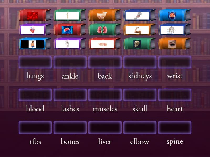 Wider World 2 unit 6 our body - Match up
