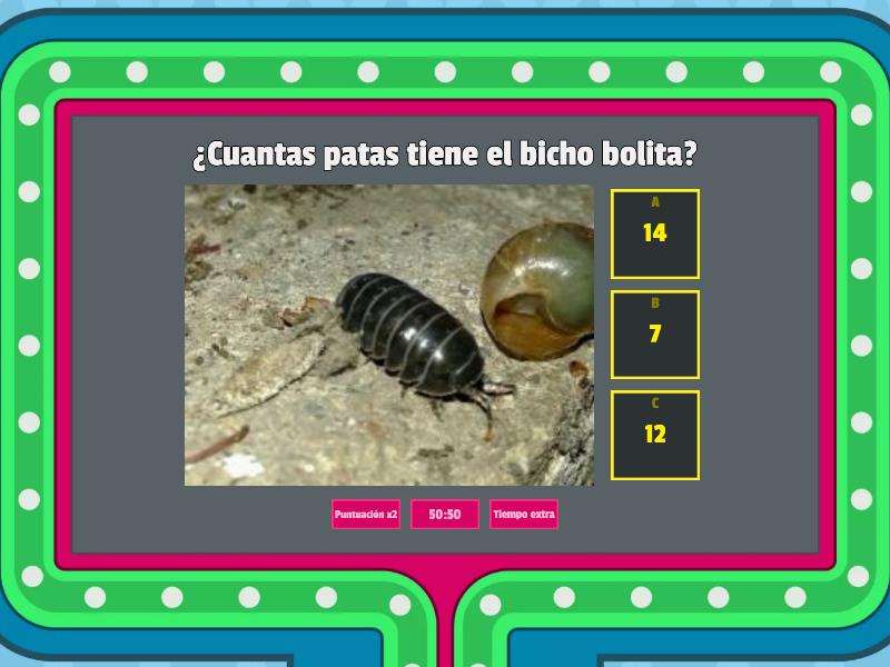 Bicho Bolita - Concurso de preguntas