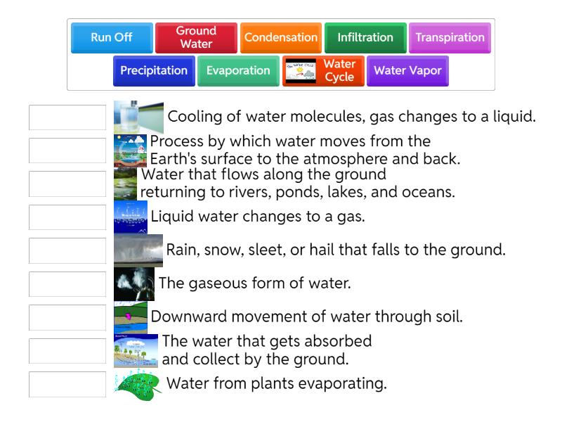 Water Cycle - Match up