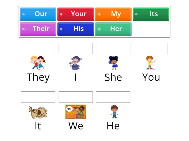 Possesive adjectives - Match up