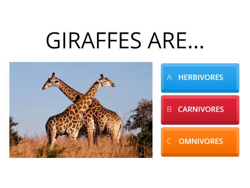 Carnivores, Herbivores, And Omnivores (Summative Assessment - Quiz