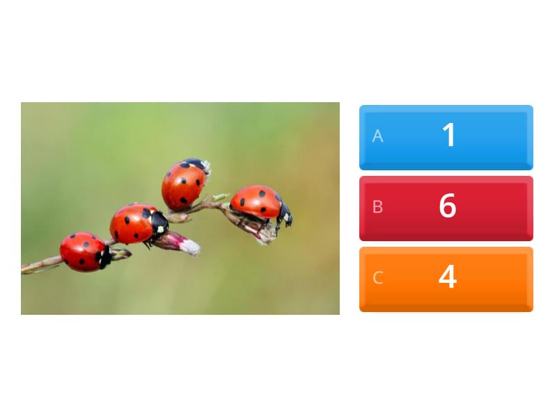 HOW MANY? - Quiz