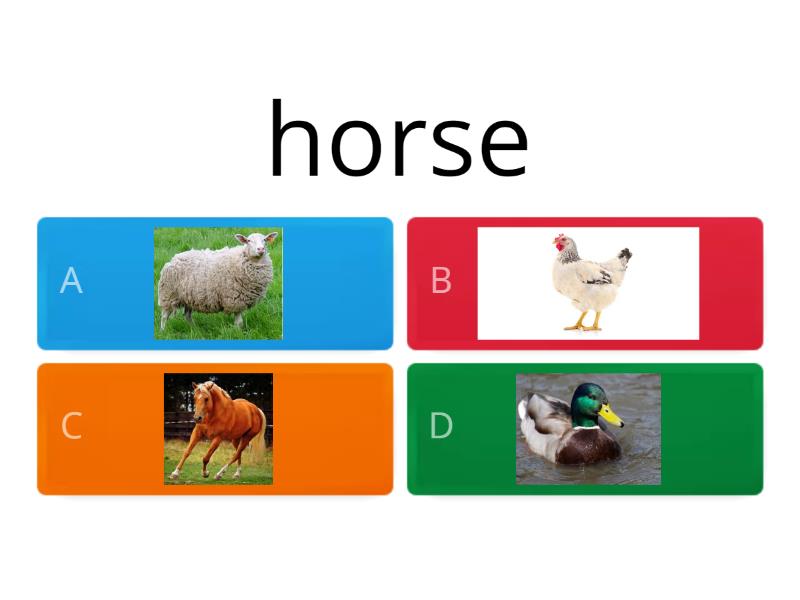 Farm Animals Quiz