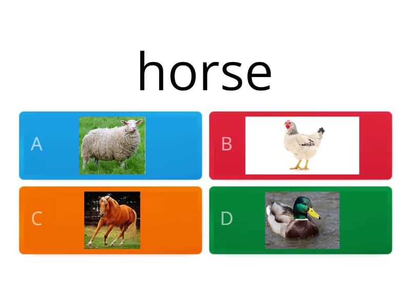 Farm Animals - Quiz