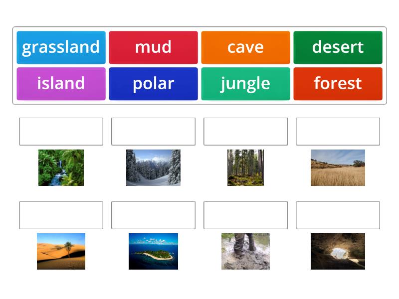 Animal Habitats. - Match Up