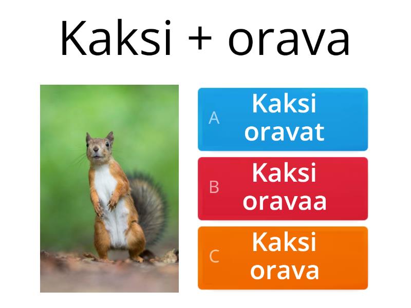 Valitse Oikea Muoto - Quiz