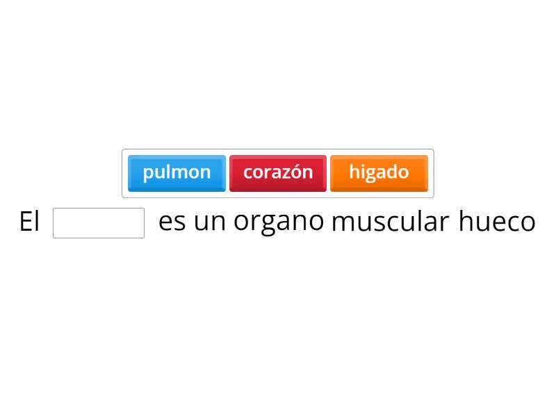 SISTEMA CARDIOVASCULAR Complete the sentence
