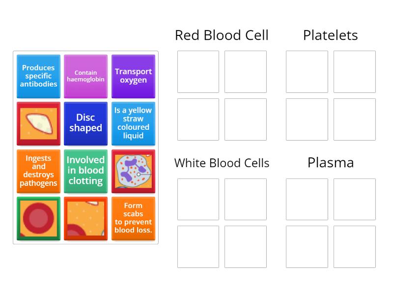 Blood - Group sort