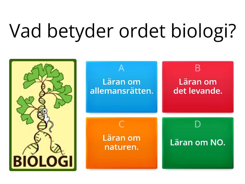 Biologi Grund - Quiz