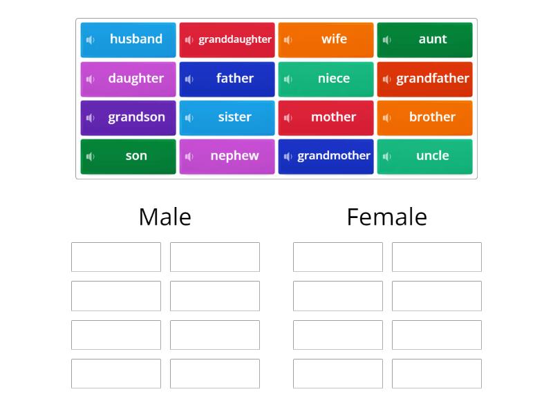 members of family wordwall