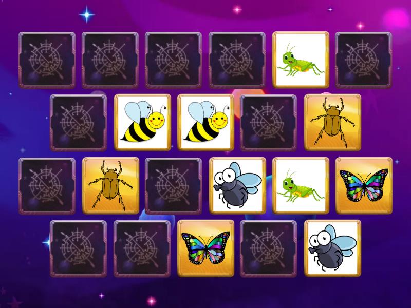 Insects - Matching pairs