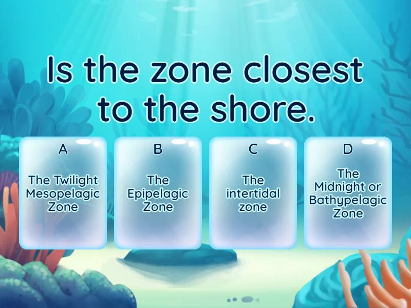 THE OCEAN ZONES Quiz